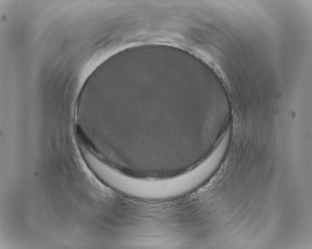 X0000088591520200706081315