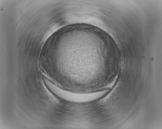 X0000088591521200706081315