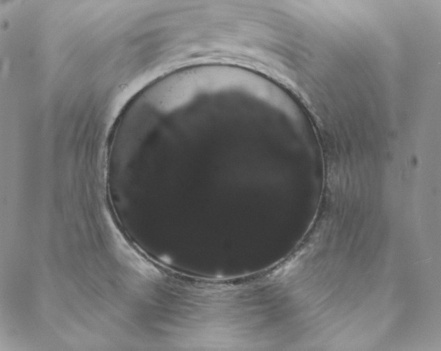 X0000088591522200706081315