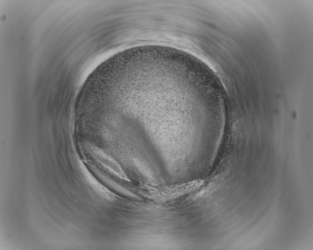 X0000088591523200706081315