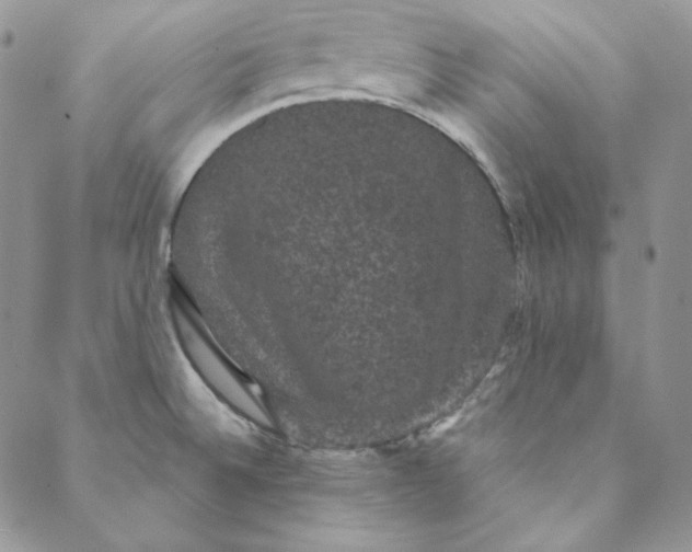 X0000088591524200706081315