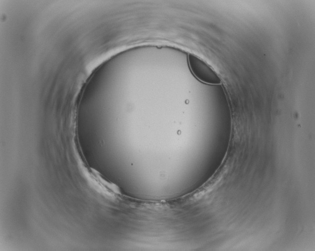 X0000088591526200706081315