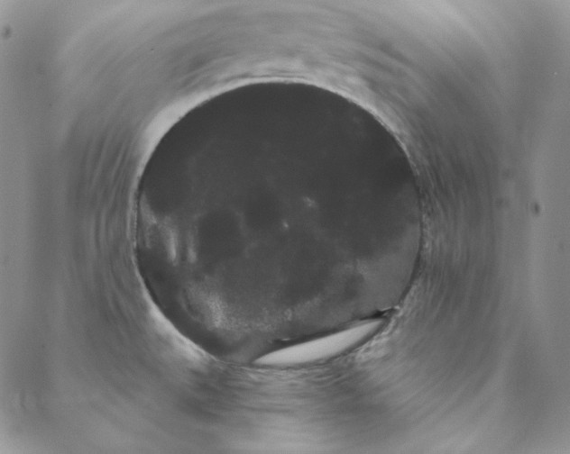 X0000088591527200706081315