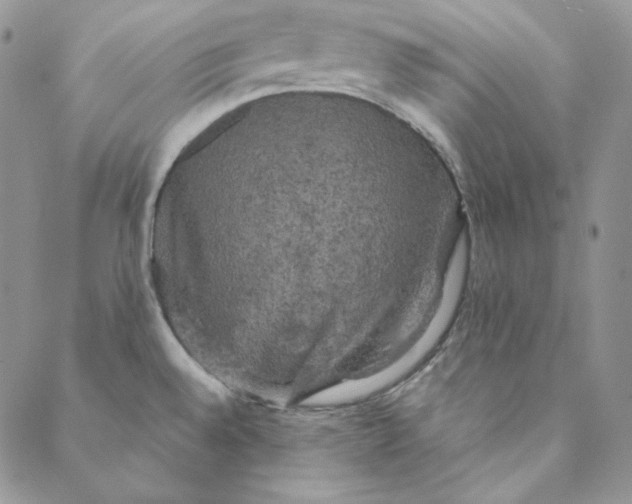 X0000088591528200706081315