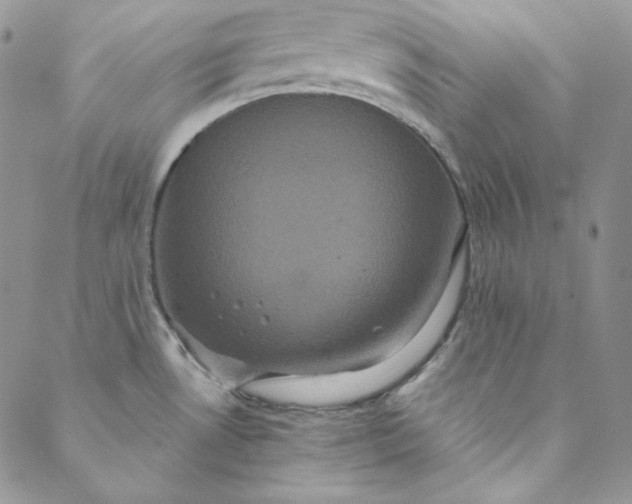 X0000088591530200706081315