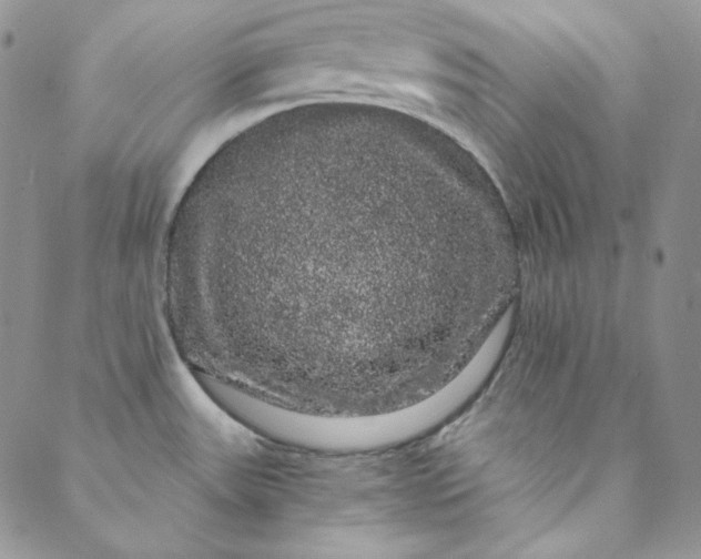 X0000088591531200706081315