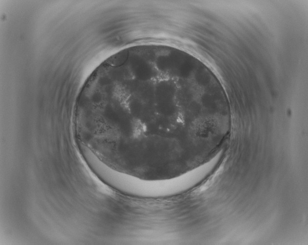 X0000088591533200706081315