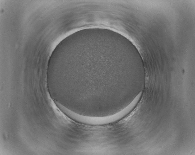 X0000088591534200706081315