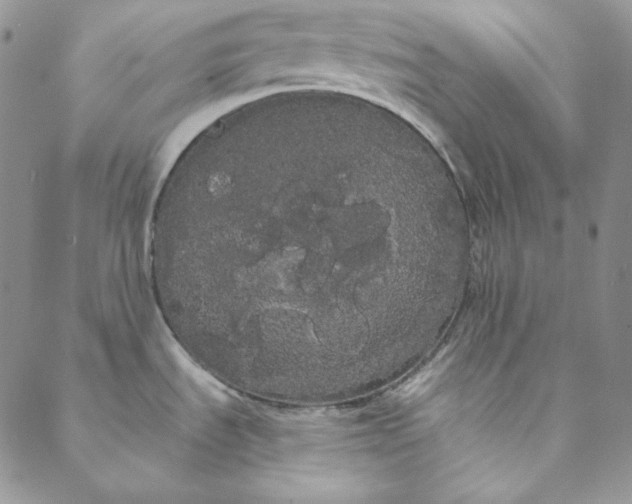 X0000088591535200706081315