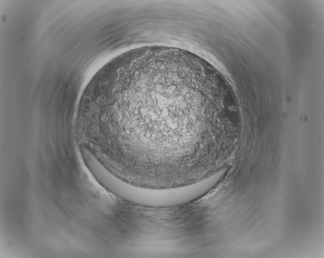 X0000088591536200706081315