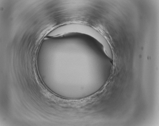 X0000088590001200706151748