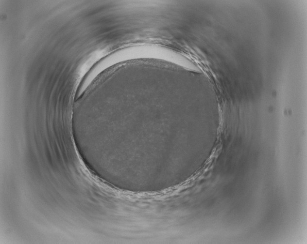 X0000088590003200706151748