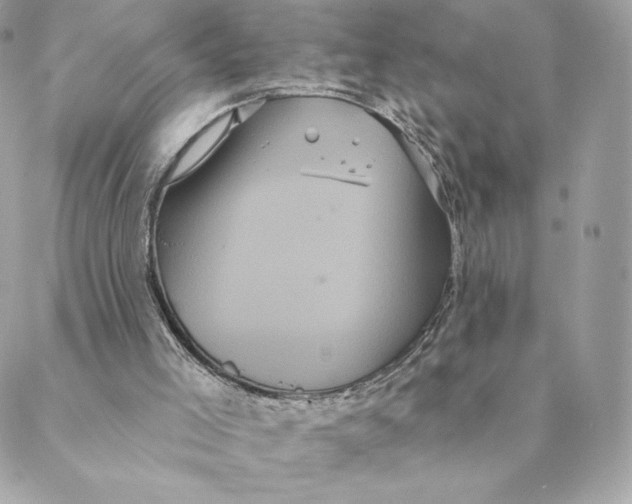 X0000088590005200706151748