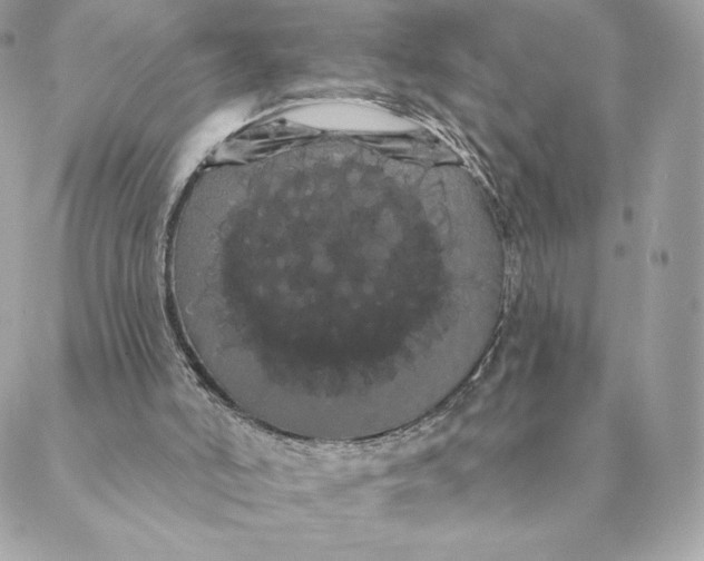 X0000088590006200706151748