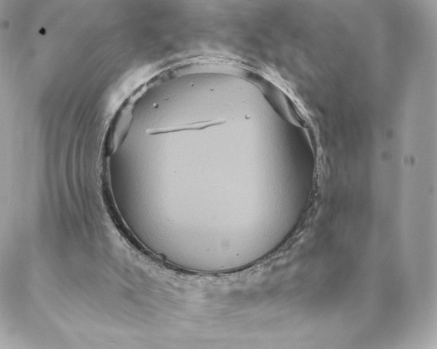 X0000088590007200706151748