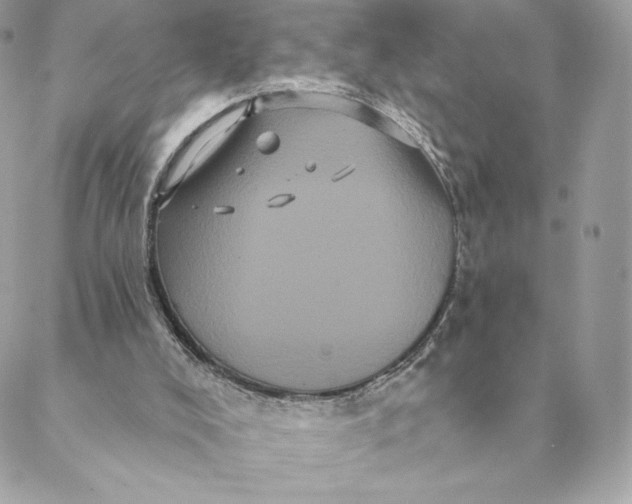 X0000088590008200706151748