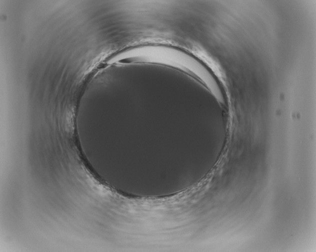 X0000088590009200706151748