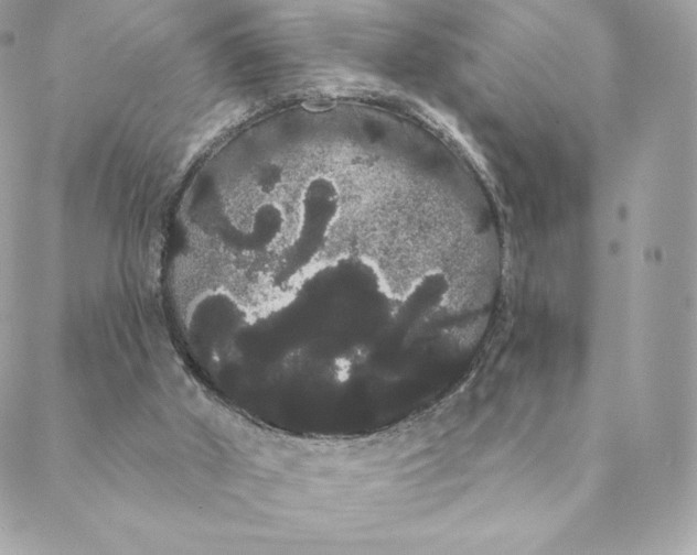 X0000088590010200706151748