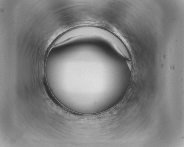 X0000088590011200706151748