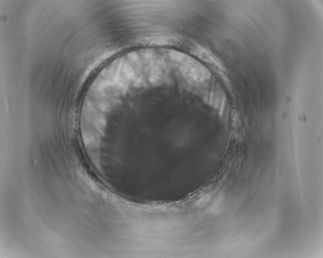 X0000088590012200706151748