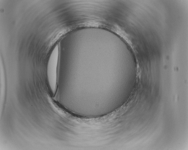 X0000088590013200706151748