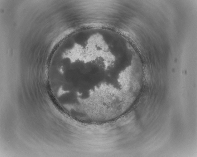 X0000088590016200706151748