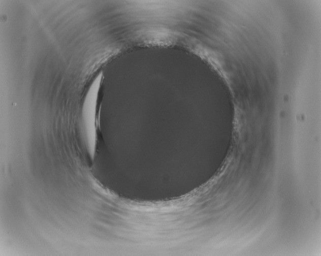 X0000088590017200706151748