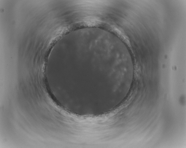 X0000088590018200706151748