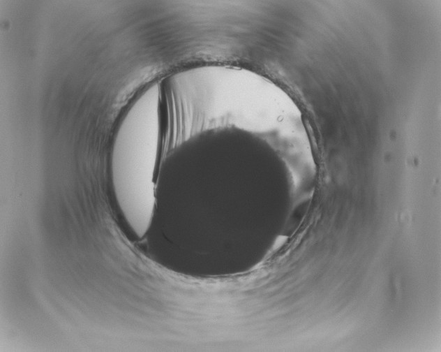 X0000088590019200706151748