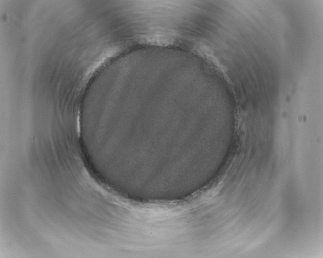 X0000088590020200706151748