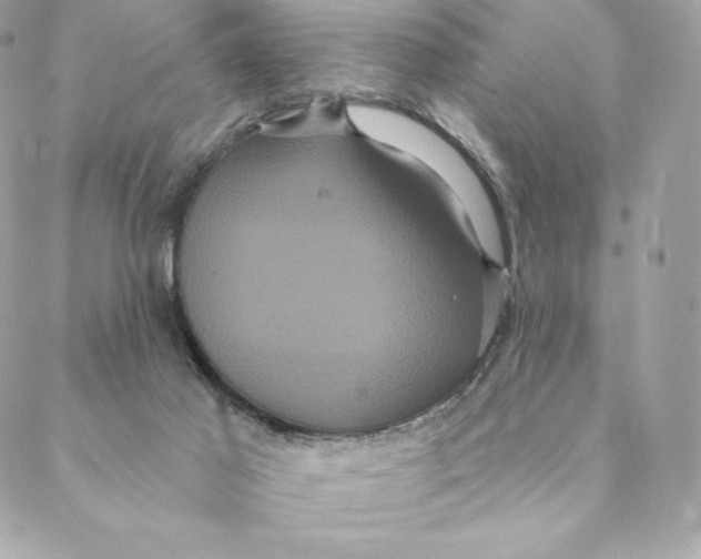 X0000088590021200706151748