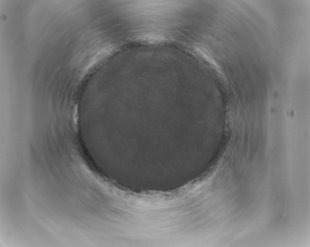 X0000088590024200706151747