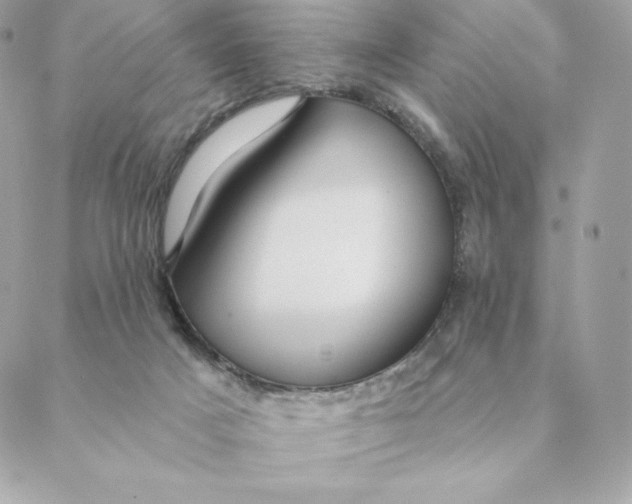 X0000088590025200706151747