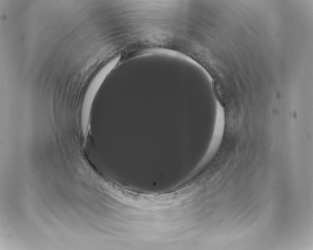 X0000088590027200706151747