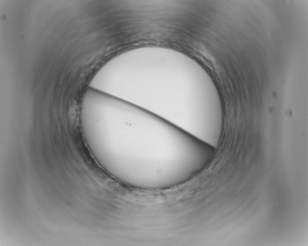 X0000088590029200706151747