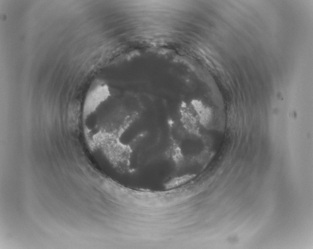 X0000088590030200706151747