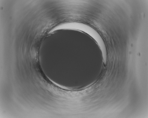 X0000088590031200706151747