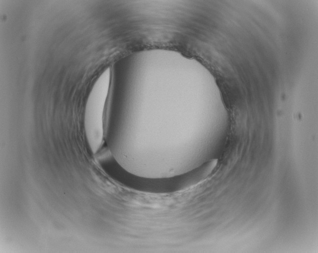 X0000088590033200706151747