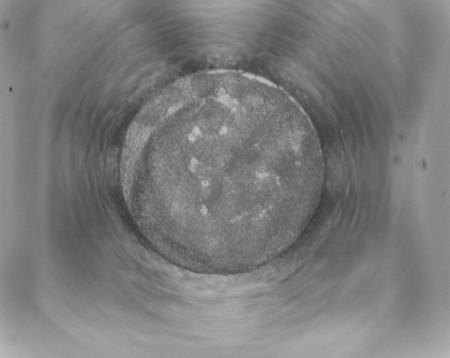 X0000088590034200706151747