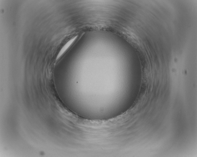 X0000088590037200706151747