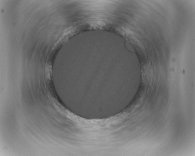 X0000088590038200706151747