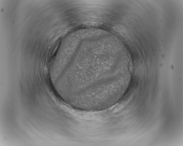 X0000088590040200706151747