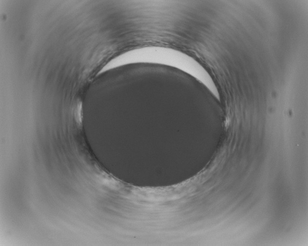 X0000088590041200706151747