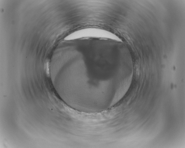 X0000088590042200706151747