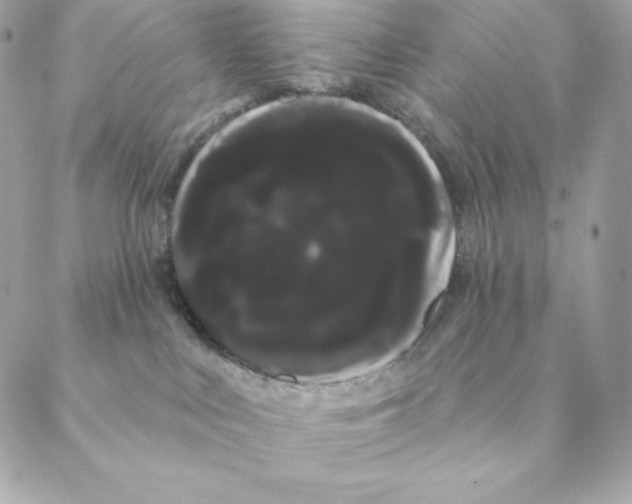 X0000088590043200706151747