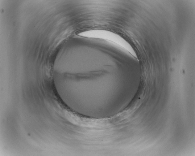 X0000088590044200706151747