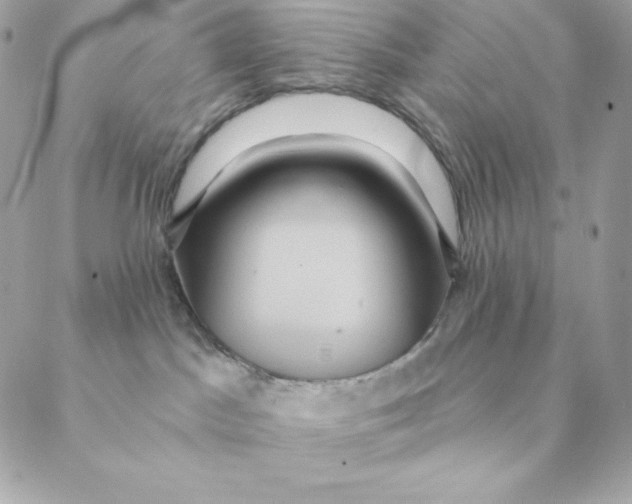 X0000088590045200706151747