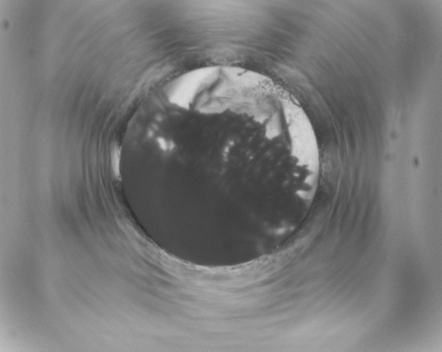 X0000088590046200706151747