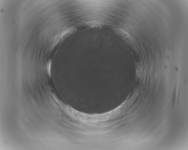 X0000088590047200706151747