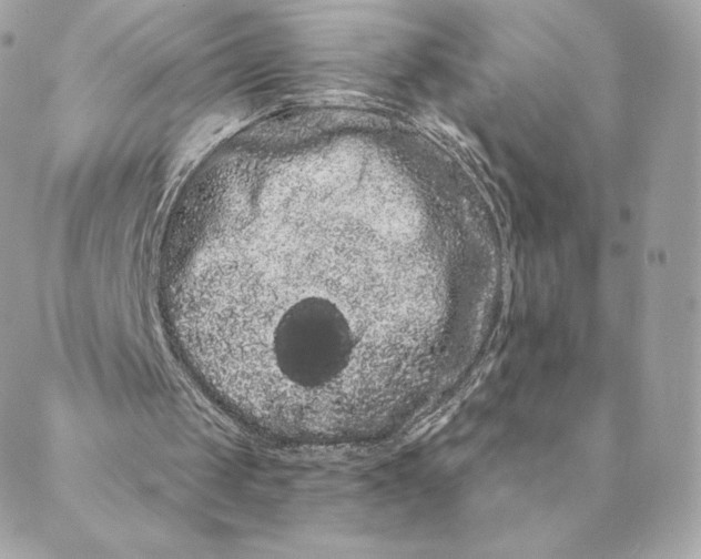 X0000088590049200706151746